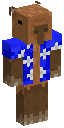 Skin usada por ZezinGotinha