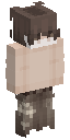 Skin usada por TheFirstStegmann