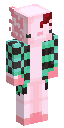 Skin usada por oKaoz_