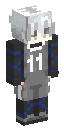 Skin usada por voidezinho123