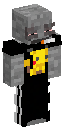 Skin usada por zVgzinn