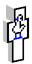 Skin usada por santkz