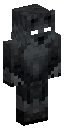 Skin usada por Th3Ninj4