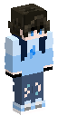 Skin usada por VraxVX