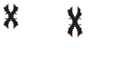 Capa do OptiFine de Gabhueii